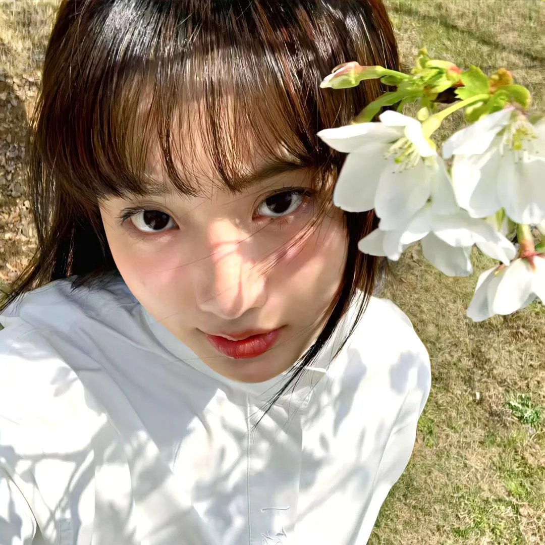 演员 内芙·